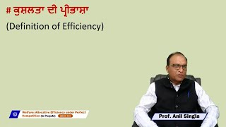 Welfare Allocative Efficiency under Perfect Competition In Punjabi [upl. by Clinton793]