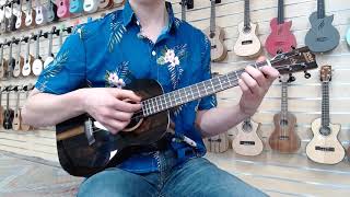 Bondi Sundance Ziricote Baritone Ukulele  Sound Demo [upl. by Prochora945]