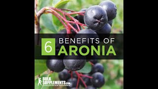 Aronia Berry  aronia berry benefits  aronia berry side effects  aronia berry extract [upl. by Yrdnal998]