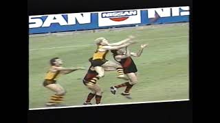 Dermott Brereton Hawthorn Hawks Toughest Bravest VFLAFL EVER [upl. by Llirrehs355]