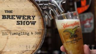 Yuengling Brewery  Brewery Show [upl. by Eilama]