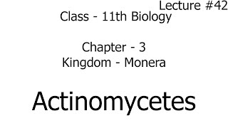 actinomycetes  kingdom monera  biology  chapter 3  class 11  ncert [upl. by Brenner57]