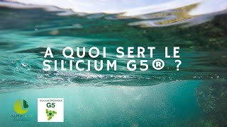 Silicium organique G5® [upl. by Suneya]