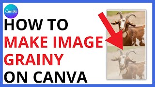 How to Make Image Grainy on Canva QUICK GUIDE [upl. by Disario912]