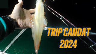 Trip candat sotong 2024 [upl. by Meehaf]