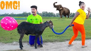 tui tui best comedy video  Must watch Very spacial New funny comedy  कॉमेडी वीडियो फनी वीडियो [upl. by Nahtiek]