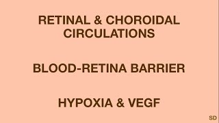 Retina Session 05 Retinal and Choroidal Circulations [upl. by Rosie]