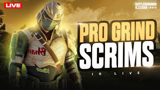 DAILY GRAND FINALS IS LIVE  BGMI GRIND SCRIMS  PRO SHOWDOWN  Battlegrounds Mobile India  Hindi [upl. by Llain364]