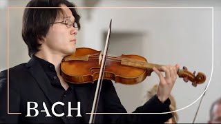 Bach  Erbarme dich mein Gott from St Matthew Passion BWV 244  Netherlands Bach Society [upl. by Mikiso]