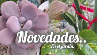 Novedades en el jardín [upl. by Uriia]