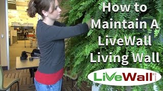 How to Maintain the LiveWall Indoor Living Wall System [upl. by Allissa730]