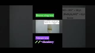 Nitrate test🧪🧪🧪chemistry trending reels youtube shorts viral short science experiment [upl. by Eittah]