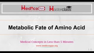 Metabolic fate of amino acid [upl. by Ylac]