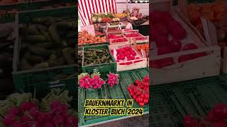 Regionaler BAUERNMARKT in Kloster Buch Mulde in Sachsen  Sommer 2024 [upl. by Arnold]