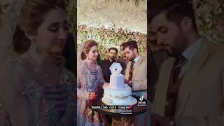 jannat mirza sister sehar world engagement party cake cut [upl. by Adnarem]