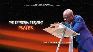 THE EFFECTUAL FERVENT PRAYER1 [upl. by Llerdnam363]