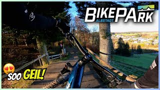 Saisonabschluss im Bikepark Albstadt 2024  Propain Tyee 6 CF  Aaron Joos [upl. by Oribella]