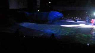 Buscando a Nemo Disney On Ice [upl. by Kcirad]