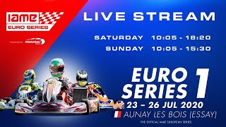 IAME Euro Series 2020 Round 1 Essay France  Sunday [upl. by Orlena]