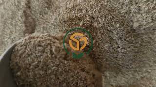 Ashwagandha Powder NaturalWild Indian Ginseng A Quick Look  ashwagandha ashwagandhapowder [upl. by Anirat]