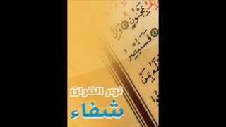 الحزب الثاني من القرآن الكريم  القارئ علي دبارة [upl. by Lyrac]