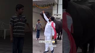 Chappal bazar Laddu Yadav New Bull 2024 viralvideo sadar trending youtubeshorts yt bull short [upl. by Ecineg]