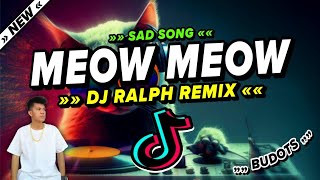 MEOW MEOW  Sad Song  Budots Remix  TikTok Viral Disco Party Mix 2024  DJ Ralph [upl. by Xylia]