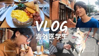 【海外医学生vlog】オーストラリア医学生の冬休みの朝｜ケアンズ｜ [upl. by Carney574]