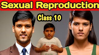 how do organisms reproduce class 10  class 10 biology chapter 3  class 10th science [upl. by Eldorado]