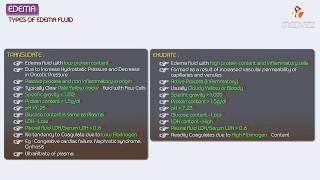 3Edema  Exudate vs Transudate  Hemodynamic pathology Fmge Neet PG and usmle [upl. by Dulcine]