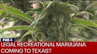 Texas lawmaker hoping to expand medical marijuana access [upl. by Ainar]