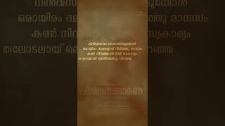 Palnilavin PoykayilKaanekkaane love malayalamsonglyrics malaylamsong song lovesong [upl. by Darej]