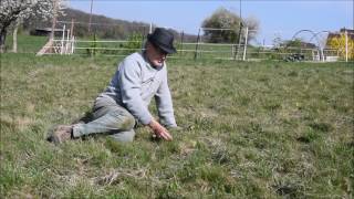 Le Potager du Paresseux  visite début avril 2017 [upl. by Jacquelynn]