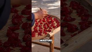 Processing Roselle Candies [upl. by Narmak]