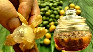 The Amazing Benefits of Wampee Fruit and Honey for Phlegm Cough  Gardening [upl. by Arza]