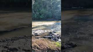 Warrandyte State Park  VIC Australia park lake river camping hike asmr relax outback [upl. by Nyvets]