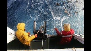 Reportage  Lor bleu des Kerguelen [upl. by Tessil]