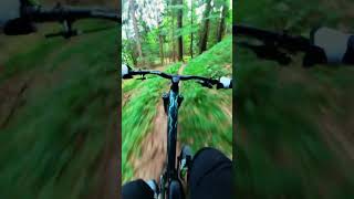 CHE TRAIL NEL BOSCO mtb mountains insta360 canyon mtllove enduromtb woods [upl. by Aivilys]