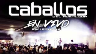 EN VIVO Cumbia La Mano Caballos del norte [upl. by Ahsele]