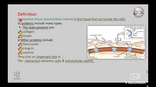 Biochemistry of connective tissue Bio revision L3 [upl. by Artemus833]