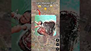 Giant Monster Fish Is Real 😱🤯 Top Search on google maps and google earth 🌎 shots hrgoogleearth [upl. by Odele]