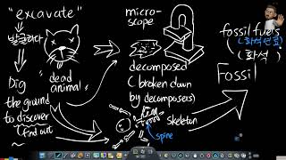 미국교과서 읽는 텍스트 Basic 1 Fossil and Fossil Fuel [upl. by Notneb92]