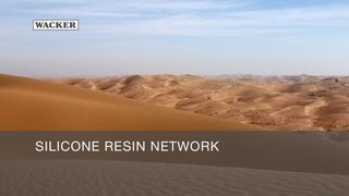 Silicone Resin Network [upl. by Hooke637]