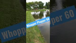 🎥 Whopper Plopper 60 First Time Out [upl. by Alekehs]