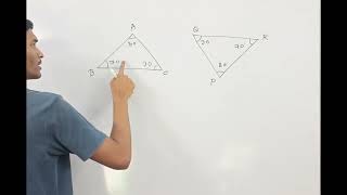 SIMILARITY IN TRIANGLE  IMPORTANT FACT CLASS 10TH [upl. by Faria]