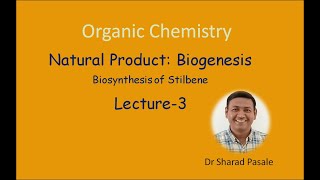 Biogenesis  Biosynthesis of Stilbene Flavonoid and Isoflavonoid [upl. by Illek]