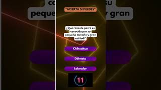 TRIVIA DE PEROS Y GATOS pet quiz adivinanza petlover trivia [upl. by Lewellen430]