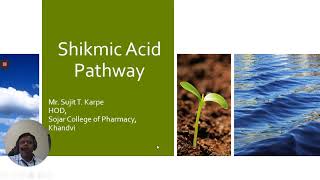 Shikimic acid Pathway [upl. by Nithsa]