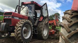 Organic potato harvest 2020 [upl. by Ellan]