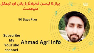 50 Days fertilizer amp Chemical Plan of Garlic amp Onion Best Fertilizers پیاز اور لہسن کا کھاد پلان [upl. by Honor]